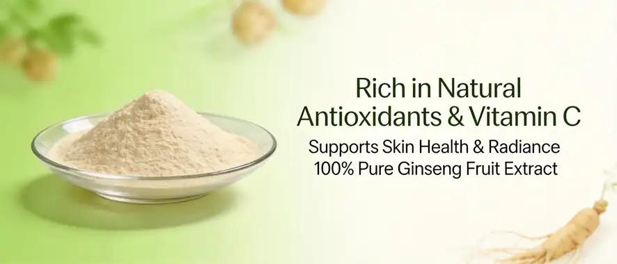 Ginseng fruit powder Ginseng fruit powder