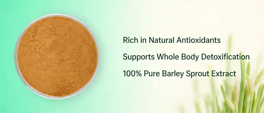 Barley sprout powder Barley sprout powder