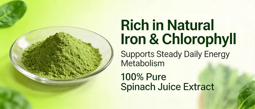 Spinach juice powders 