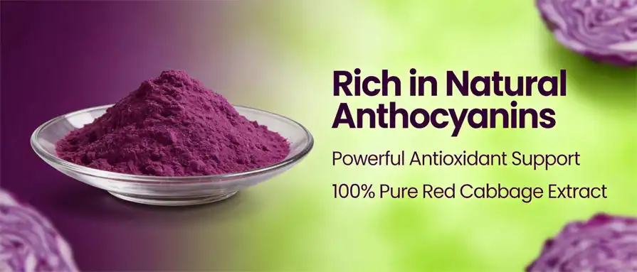 purple cabbage powder