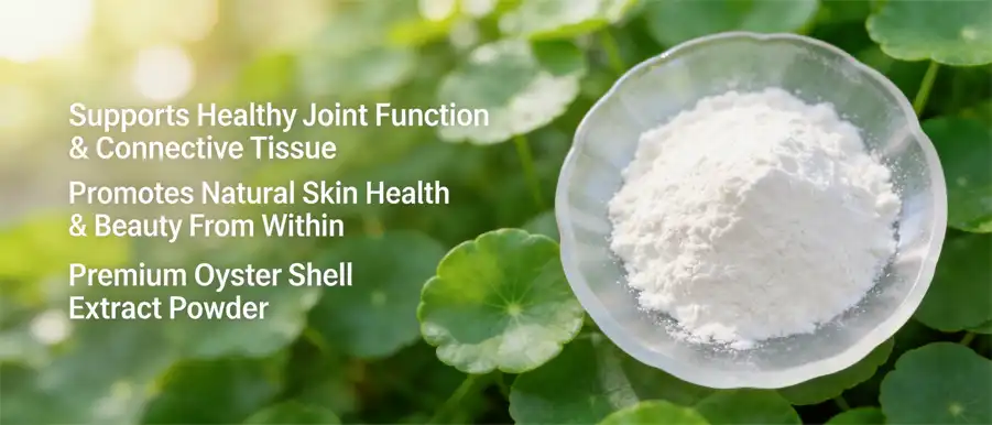Oyster shell extract powder Oyster shell extract powder