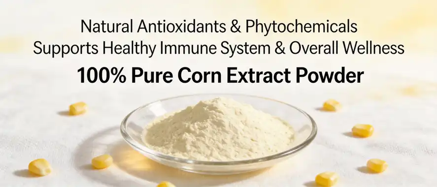  Pure Corn Extract Powder