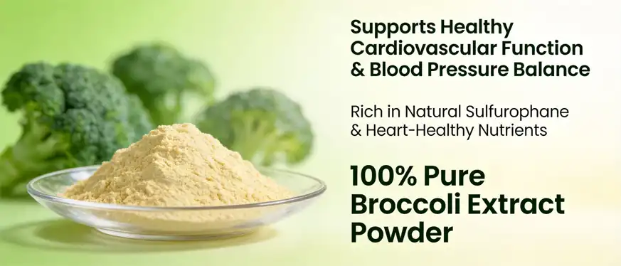 Broccoli extract powder 