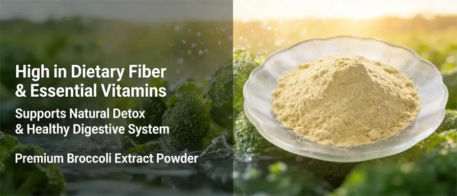 roccoli extract powder
