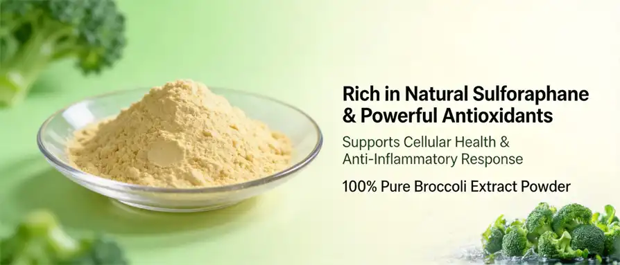 Broccoli extract powder