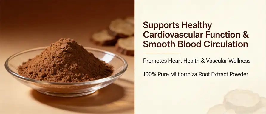 Miltiorrhiza Root Extract Powder Miltiorrhiza Root Extract Powder