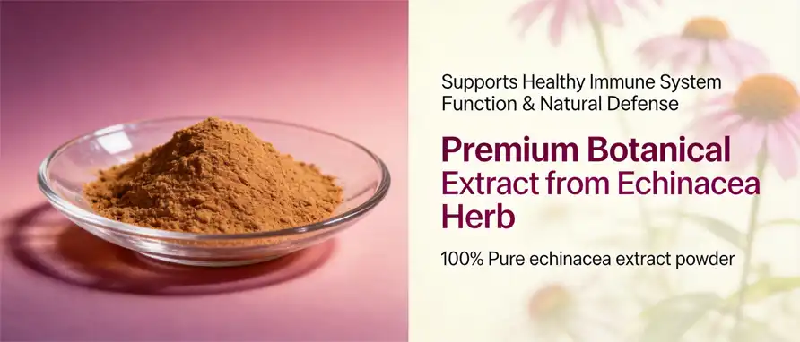 echinacea extract powder