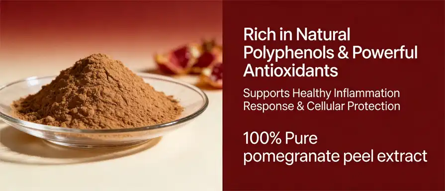 Pomegranate peel extract powder Pomegranate peel extract powder