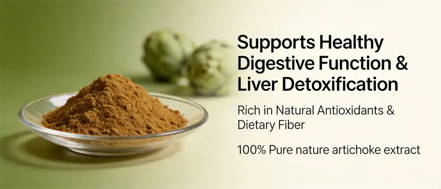 Nature artichoke extract Nature artichoke extract