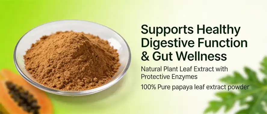 Papaya leaf extract powder