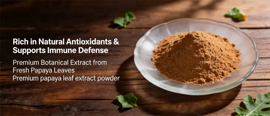 papaya leaf extract powder papaya leaf extract powder
