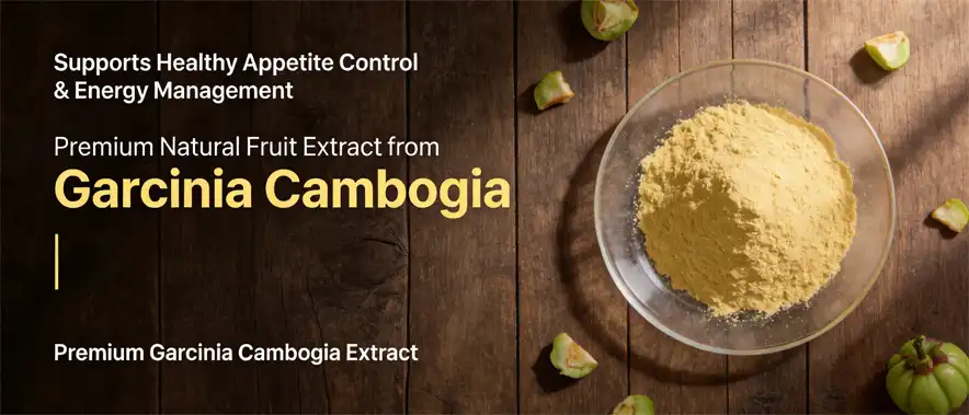 arcinia Cambogia Extract arcinia Cambogia Extract