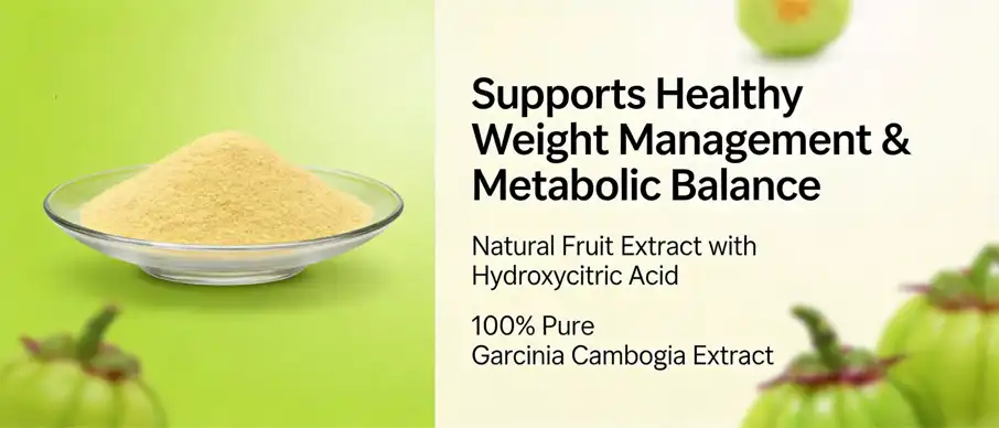Gotu kola extract powder Gotu kola extract powder
