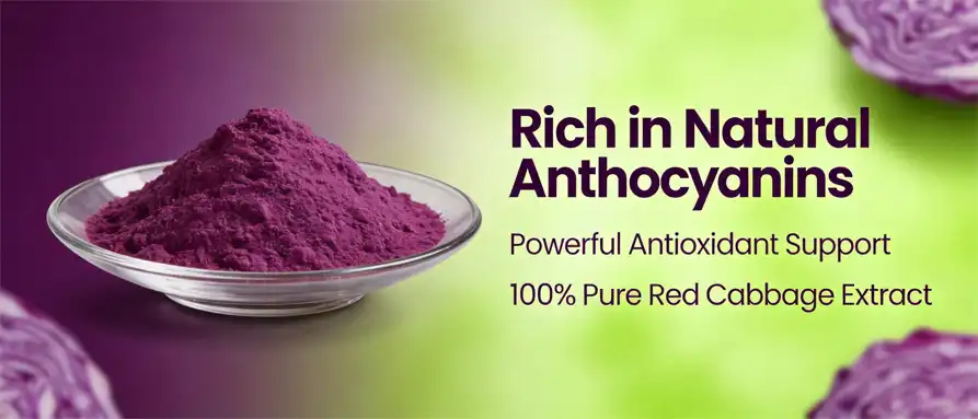 Purple cabbage powder Purple cabbage powder