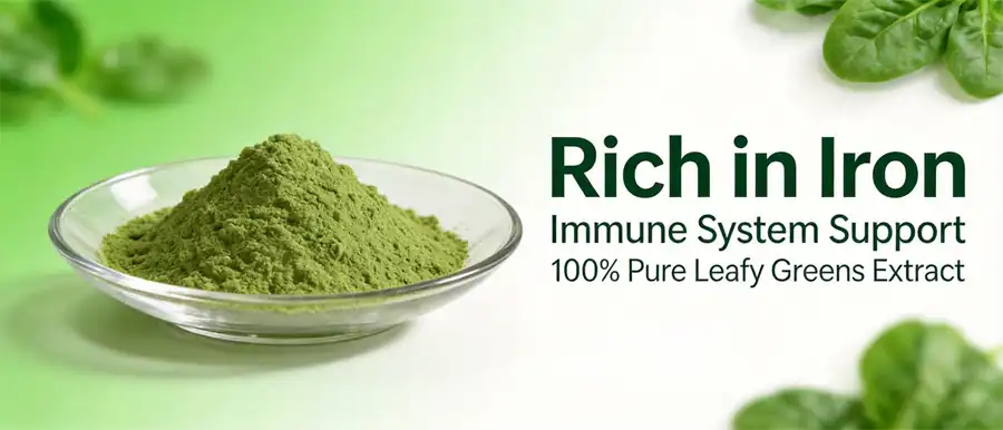 Spinach juice powder Spinach juice powder