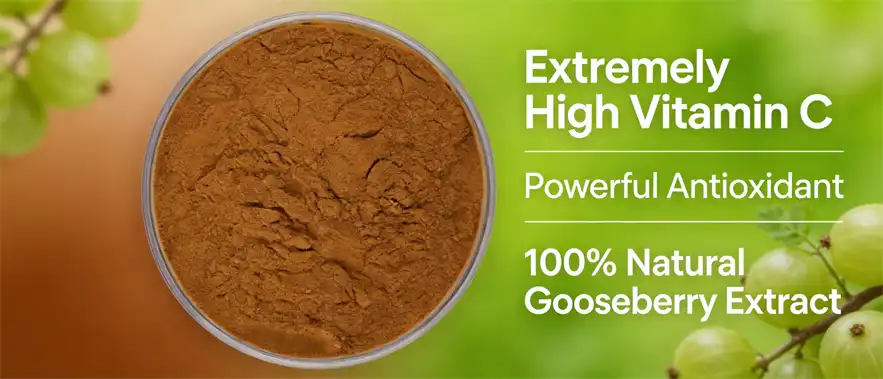 Cape Gooseberry Powder