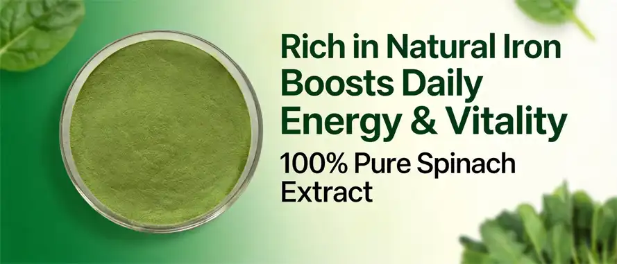 Spinach juice powder