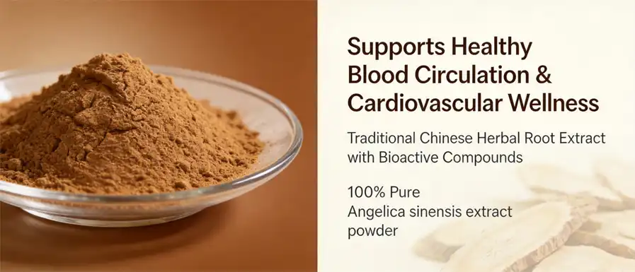 Angelica sinensis extract powder Angelica sinensis extract powder