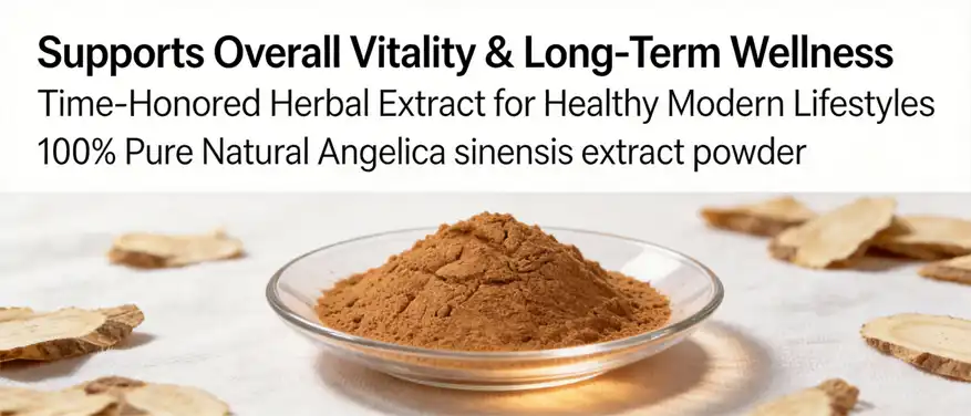 Angelica sinensis extract powder Angelica sinensis extract powder