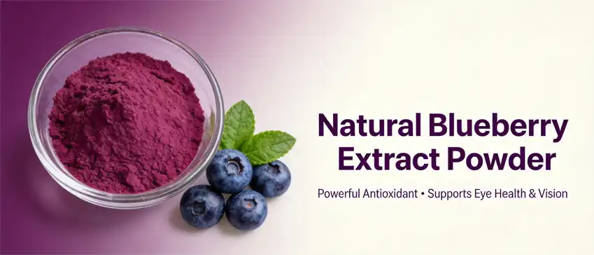 natural blueberry extract powder