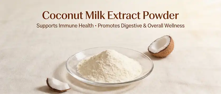 Coconut milk extract powder Coconut milk extract powder