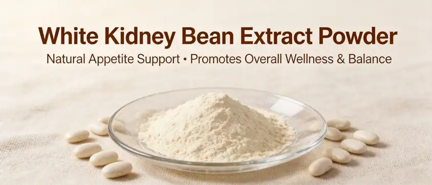white kidney bean extract powder