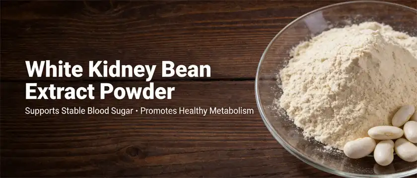 white kidney bean extract powder white kidney bean extract powder