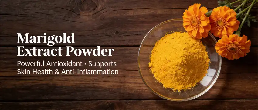 marigold extract powder marigold extract powder