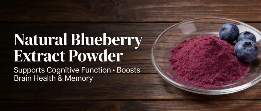 natural blueberry extract powder
