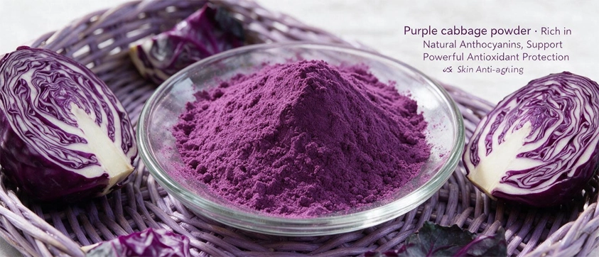 Purple cabbage powder Purple cabbage powder