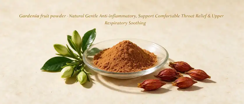 Gardenia fruit powder