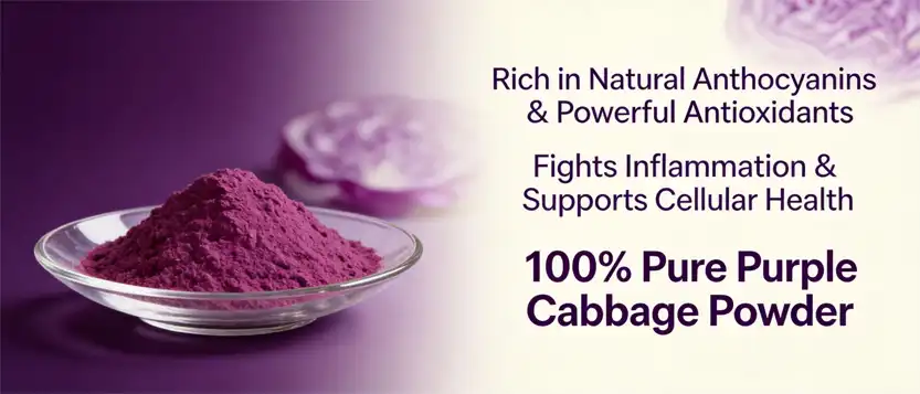 Purple cabbage powder Purple cabbage powder