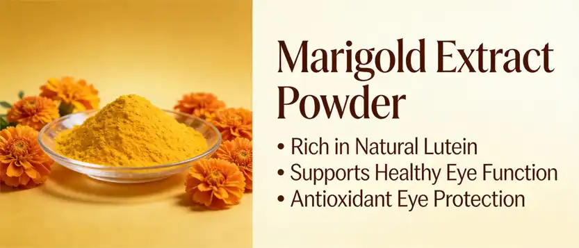 marigold extract powder 