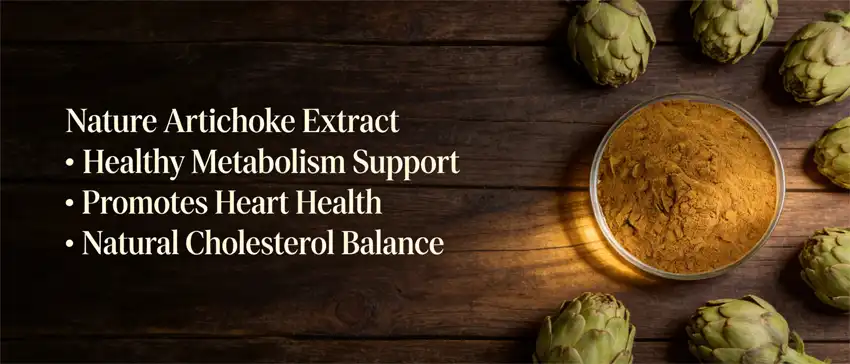 nature artichoke extract