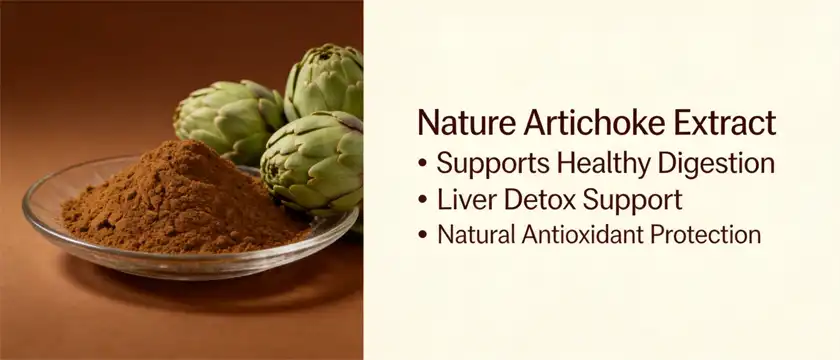 nature artichoke extract nature artichoke extract