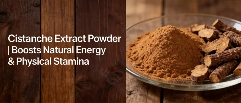 Cistanche extract powder Cistanche extract powder