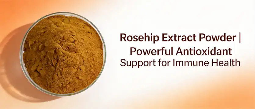 Rosehip extract powder Rosehip extract powder