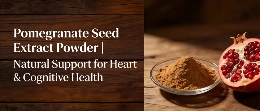 pomegranate seed extract powder pomegranate seed extract powder