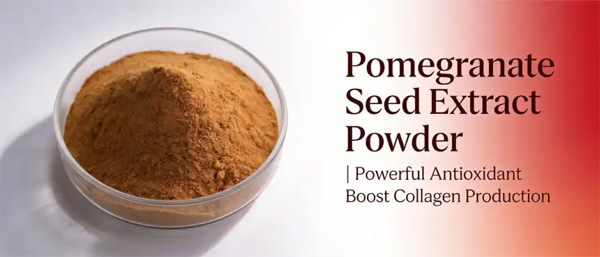 Pomegranate seed extract powder