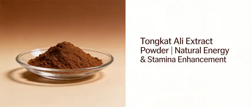 Tongkat Ali extract powder Tongkat Ali extract powder