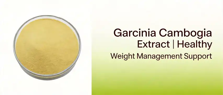 Garcinia Cambogia Extract 