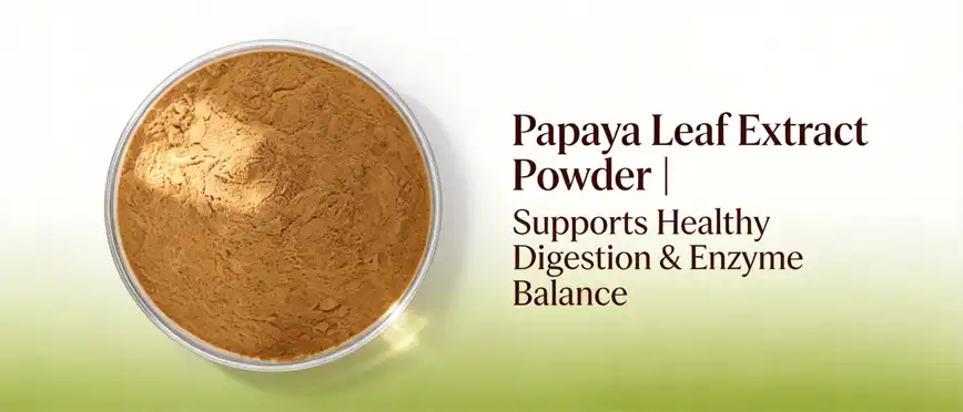 papaya leaf extract powder papaya leaf extract powder