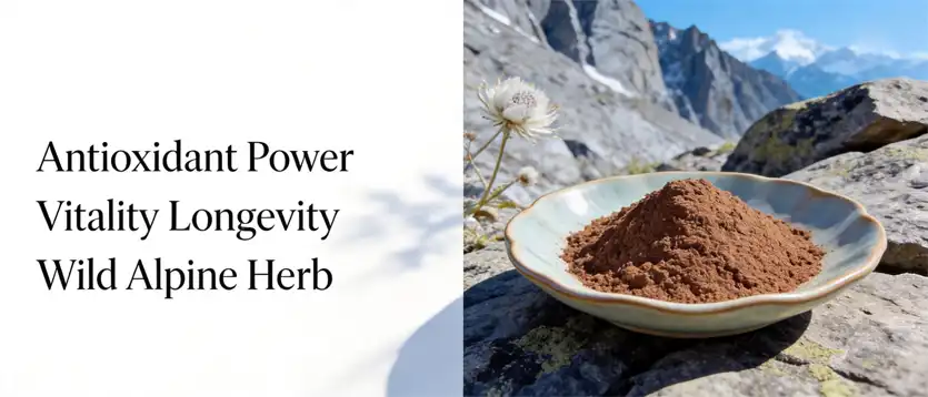 Snow Lotus Powder