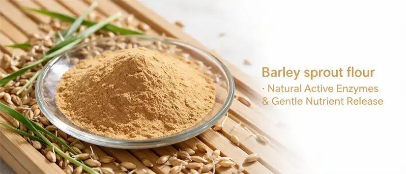 Barley sprout flour Barley sprout flour