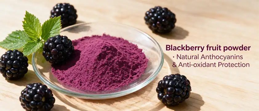 Blackberry fruit powder