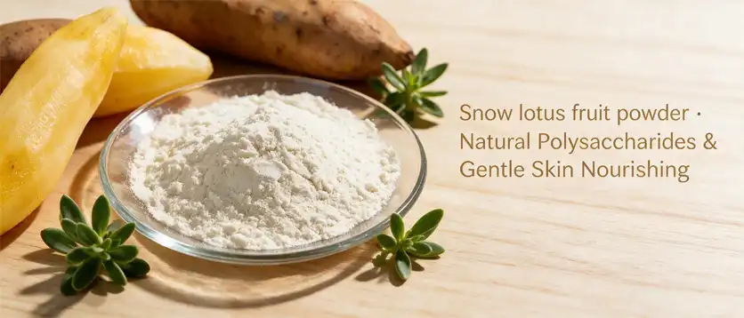 Snow lotus fruit powder Snow lotus fruit powder