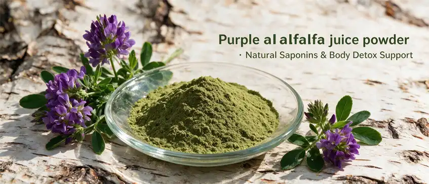 Purple Alfalfa Juice Powder Purple Alfalfa Juice Powder