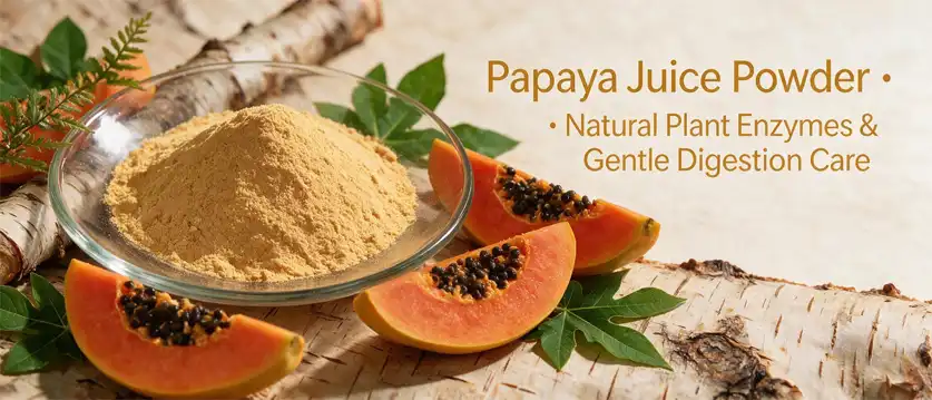 papaya juice powder papaya juice powder