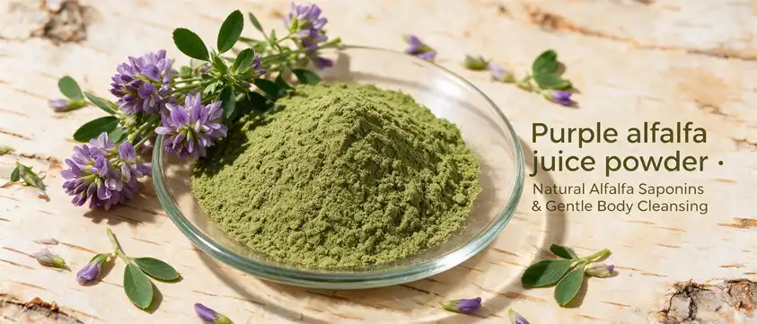 Purple Alfalfa Juice Powder Purple Alfalfa Juice Powder