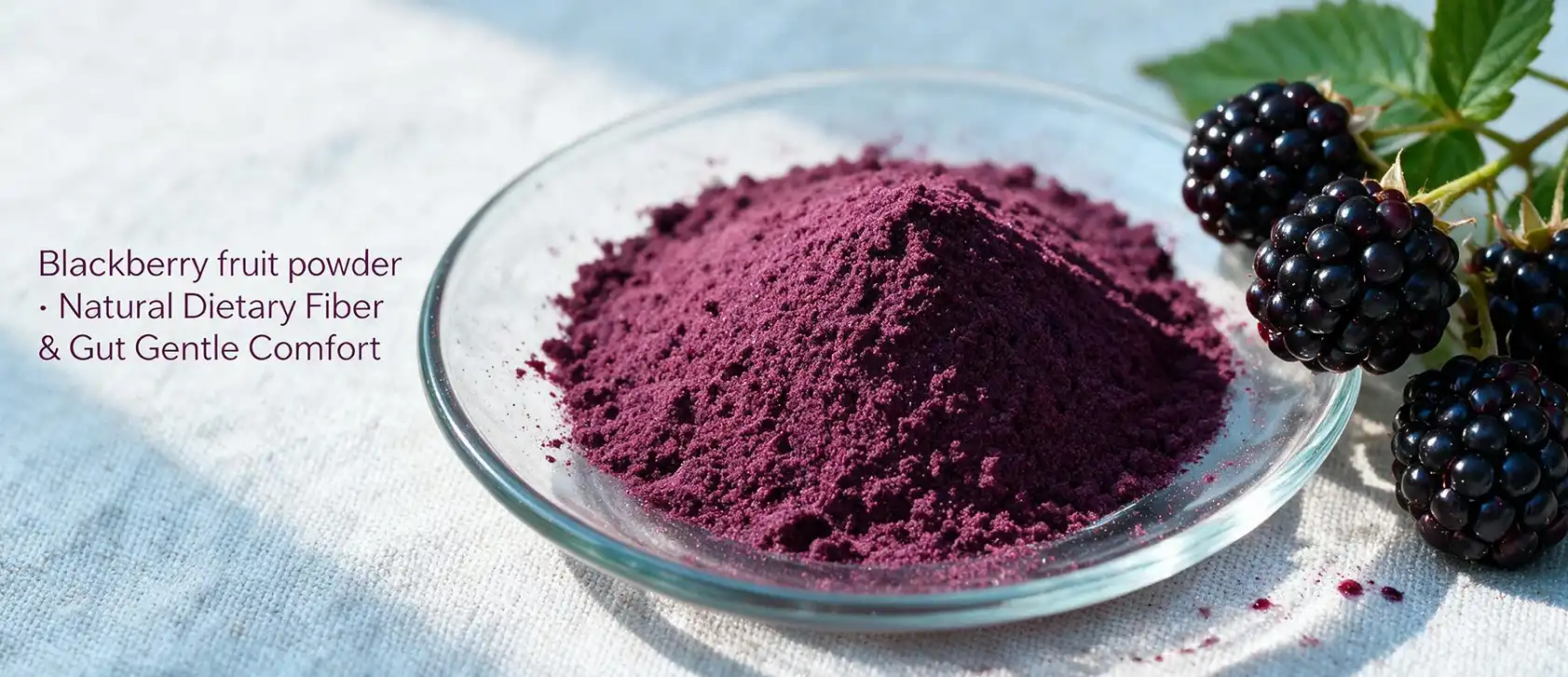https://www.biosparkcn.com/fruit-and-vegetable-powders/blackberry-juice-powder https://www.biosparkcn.com/fruit-and-vegetable-powders/blackberry-juice-powder